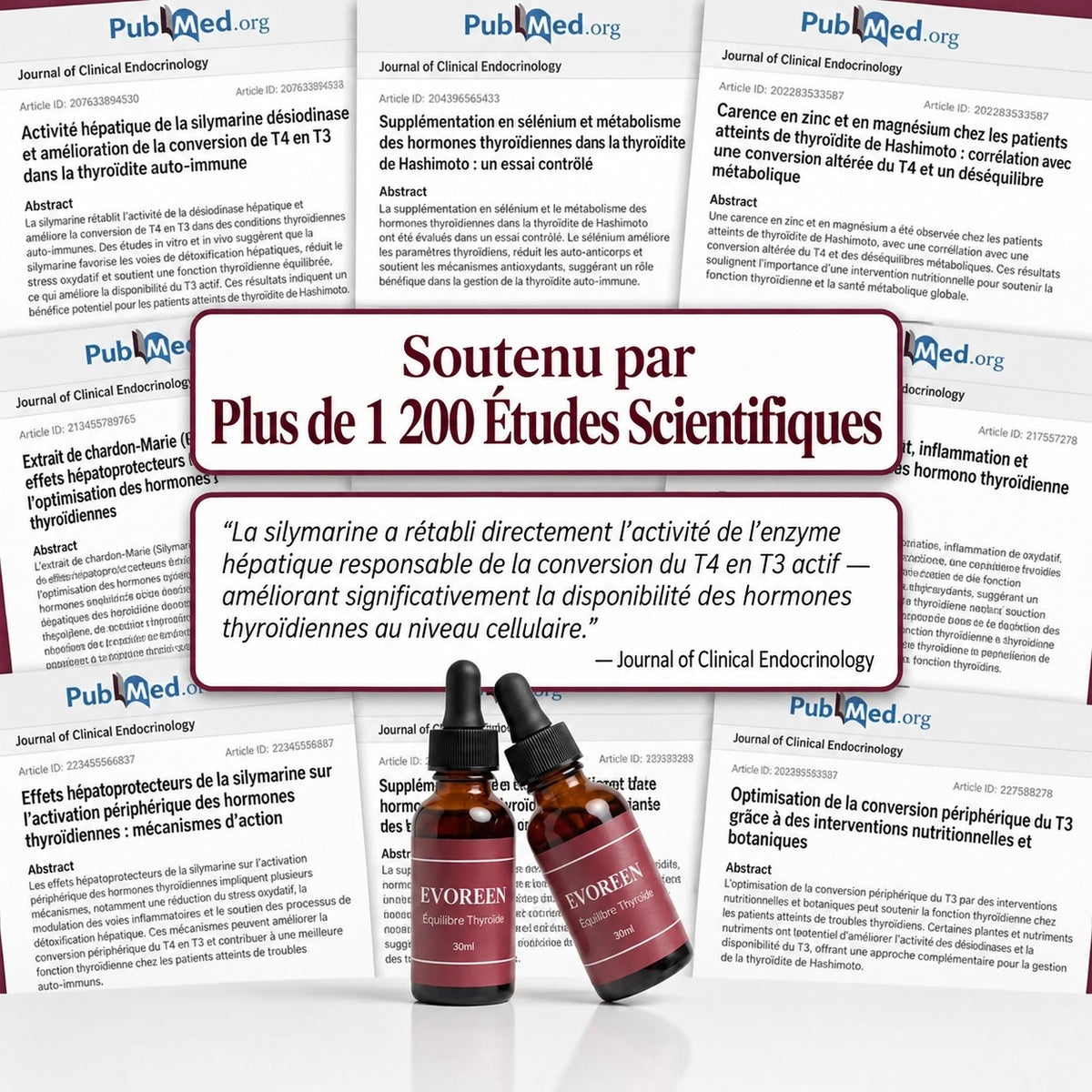 Evoreen™ Équilibre Thyroïdien